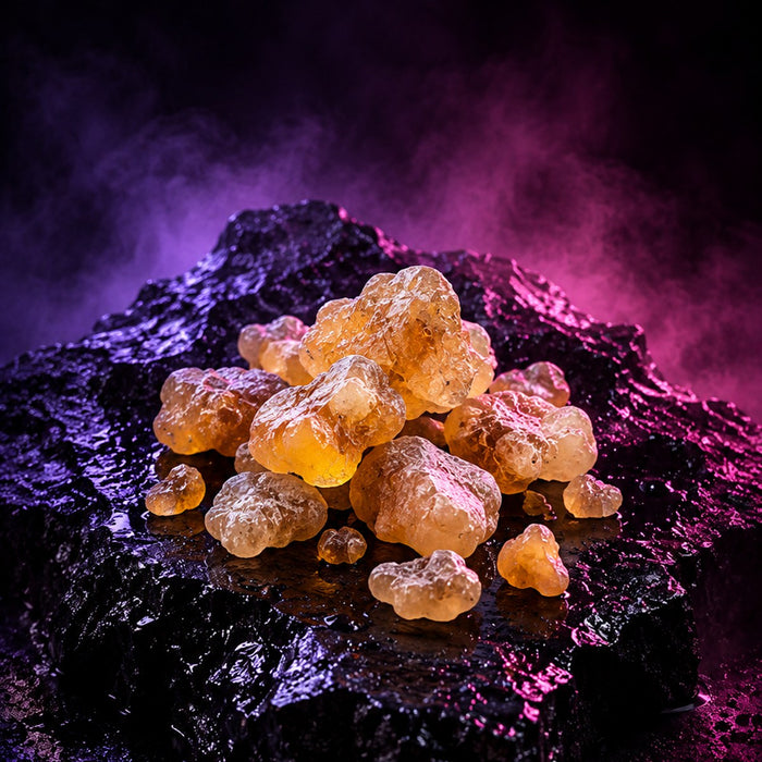 Boswellia